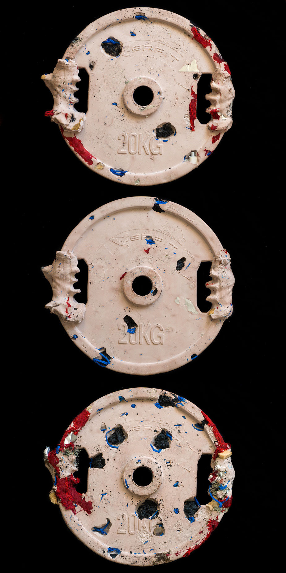 plate20_2yhd.jpg
