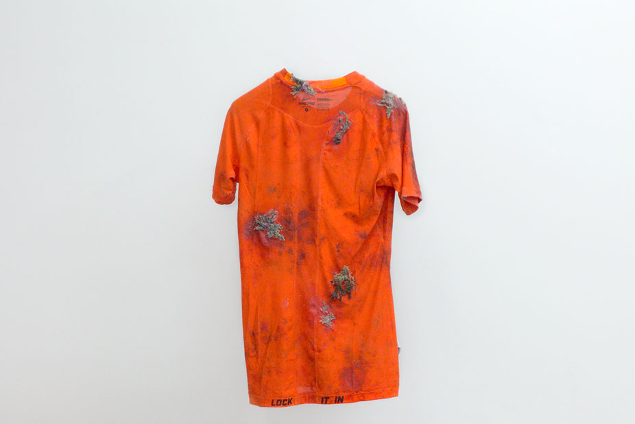 shirt1.jpg