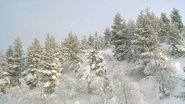skiresort1.jpg